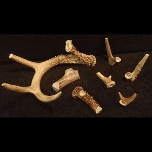 Meet your Posher, Blake